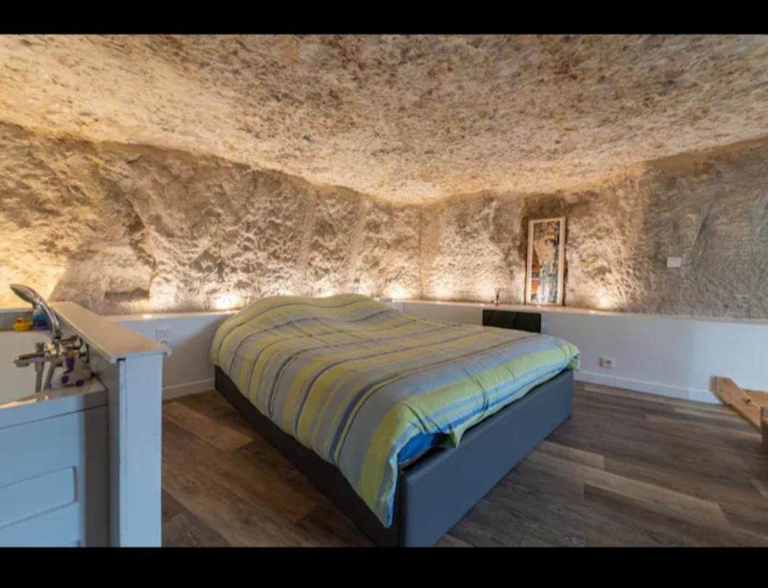 פואטייה Maison Troglodyte מראה חיצוני תמונה